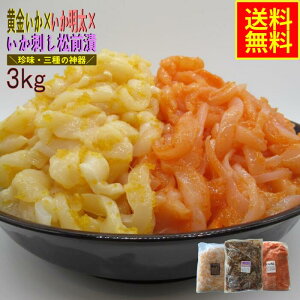 ××hO 3kgZbg ƖpiⓀj hV̓ Mtg  CN Mtg CJ y Hi ܂ ӎ ̍ O ʂ Zbg 