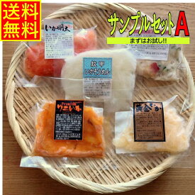 試食サンプルセットA　紋甲いかそうめん 黄金いか いか明太 プレミアムうにいか ホッキサラダ 試食　サンプル お試し セット お歳暮