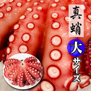 魚 ボイル イカ タコの人気商品 通販 価格比較 価格 Com