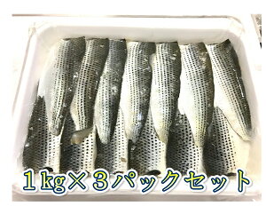 魚 コハダ 魚介加工品の人気商品 通販 価格比較 価格 Com