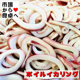 ボイルイカリング 3kg入り 【チルド業務用】サラダ・トッピング・炒め物・揚げ物に【冷蔵便】