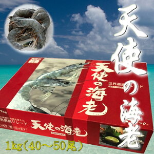 Vg̊CV 1kg50 hgp y VɈԋ߂̊CV z |EÖfRႢ܂ yⓀցz