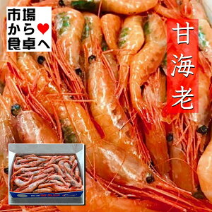Â iLATCYj L hgp 1kg i60`70jƖp ÂăvvH yⓀցz  hg 荇킹  N