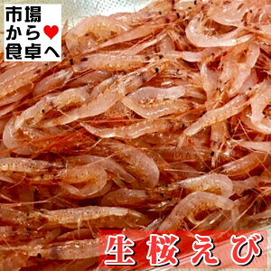  (Ⓚ) 500g yHpEƖpz lꂽĂ̍CV}ⓀĂ܂BhgEiEɂg܂yⓀցz