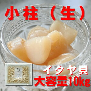   i Ⓚ j 1kg×10kg y H E hgp z T_EiEaEgȂǂłオ肭 yⓀցz hg 荇킹  N