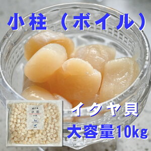 {C  1kg×10 y hgp Ee Ɩp z T_EiEaEgȂǂłオ肭 yⓀցz hg 荇킹  N
