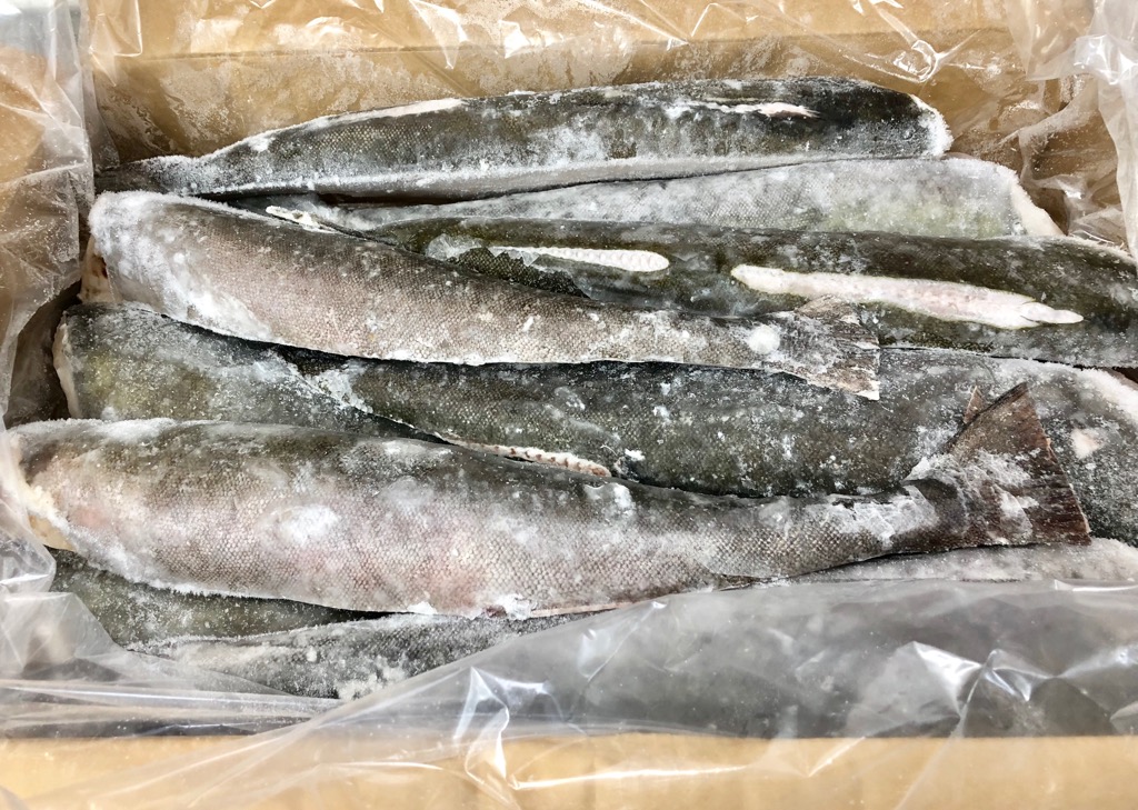 銀鱈 55％以上節約 業務用 脂あります 10kg 卸直営 煮付けが最高にうまい 冷凍便 業務用センターカット 脂のってます