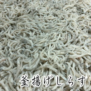 しらす 冷凍 魚介加工品の人気商品 通販 価格比較 価格 Com