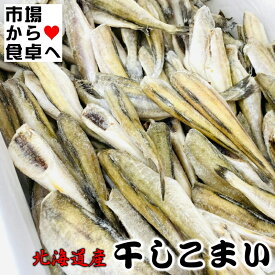 こまい丸干し 5kg 【大容量・北海道産】生干しタイプ、居酒屋メニューの定番！マヨネーズ、七味で【冷凍便】