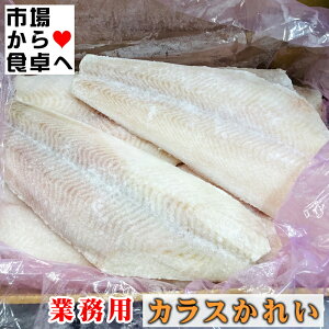 JXJC 5kg Ɩp yXLXtB[zg肪ǂłBϕtAgAjGAƏēɁyⓀցz