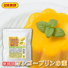 マンゴープリンの素 2袋(1袋200g)【日本食研・業務用】マンゴーピューレを使用しているのでマンゴーの果汁感を感じます【ポスト便】