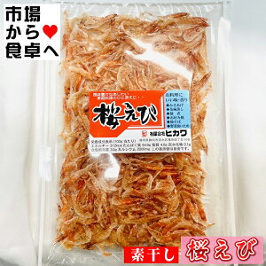 ёf 2(124g)yLȍCVzgAώρADݏĂA`[nɂg܂B