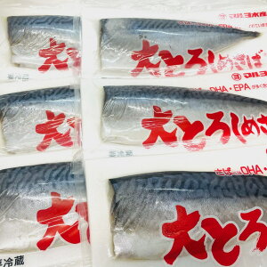 大とろしめさば 12枚入り 【国産 脂あります】 秋サバ の中から、特に 締め鯖 にあったものだけを厳選しました【冷凍便】
