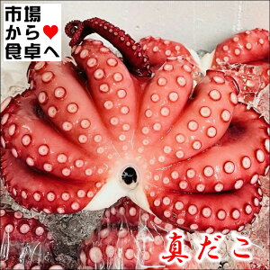 ^ Ⓚ^ ({Cς)3kg(1t400g)yhgEJpb`ET_EłzFXȗɂg܂yⓀցz