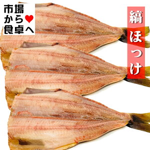 しまほっけ 大サイズ 3枚入り【脂のっています】大きなシマホッケの干物、食べ応えあります。ふっくらジューシー【冷凍便F】