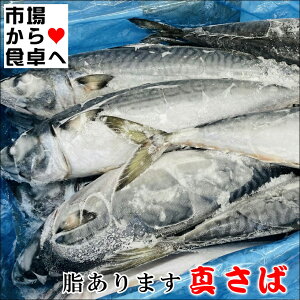 ^ Eh Ⓚ Ɩp 10kg(16)ŷmEF[YzG߂̎IⓀ܂IyⓀցz