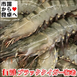 LubN^CK[CV 1.3kg(15)yNxێubNzƖpA{[̂TCYyⓀցz