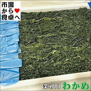 킩 Ɩp 킩 20{yY킩߁zlXȗɎg܂y①ցz