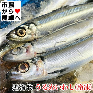 ߂킵Ⓚ Eh 1kgyEEzϕtAāAgAۊɁyⓀFz