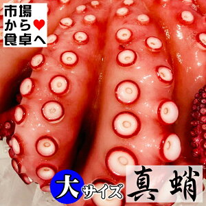 ^ ({Cς)TCY1t (1kg)y HpEhgEJpb`ET_Eł zFXȗɂg܂yⓀցz