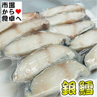ぎんだら切り身 銀鱈 10切れ(1切れ約100g)【脂あります、定番の煮付けがうまい】 煮付け・焼物・お鍋・ム…