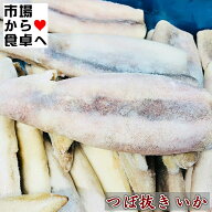 つぼ抜きいか 7.5kg 約50尾(1杯約150g)【はらわた無し・便利な加工済み】焼き物・煮物・揚げ物・いかめし…
