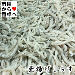 g炷 2kgyYEVXz 炷EpX^E낵||Eg yⓀցz