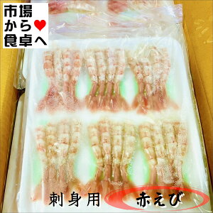 Ԃ 12pbN(1pbN24{)yhgp ԊCVzÂт傫ȃTCYyⓀցz