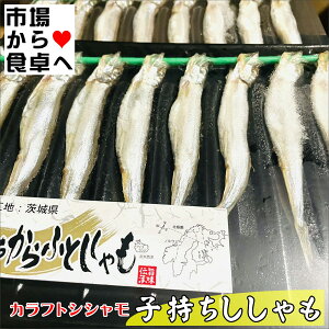 q (JtgVV)5pbN(1pbN8)yƖp zĂÂɁy①ցz