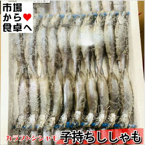 q (JtgVV)80yƖp z[тɂiIȒPyⓀցz