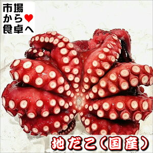 ^ (YEⓀ) 1t1.5kgy{Cnz^̍YAH׉̂TCYyⓀցz