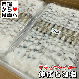 L΂CV ubN^CK[CV 1pbN20yƖpETCY16/20zVՂAtCɊȒPyⓀցz