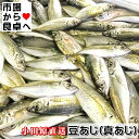 真あじ 豆あじ(冷凍)1kg【無選別・相模湾小田原産】獲れたてを急速冷凍、から揚げ、南蛮漬け、酢の物に【冷凍便】