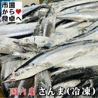 さんま 小(冷凍)10本【国内産 秋刀魚】急速冷凍、塩焼、かば焼き、竜田揚げ、煮付に【冷凍便R】