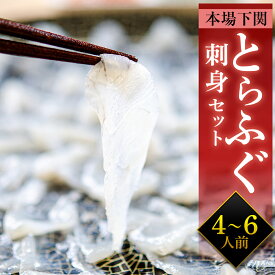 期間限定25%増量中！ とらふぐ刺身セット大 ギフト お中元 父の日 てっさ ふぐ ふぐ刺し ふぐ皮 下関 誕生日 記念日 お祝い お取り寄せ グルメ 冷凍 送料無料 刺身 海鮮 贈り物 内祝 のし プレゼント ふぐひれ ひれ酒 宴会