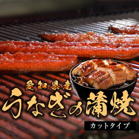 愛知県産うなぎ蒲焼（カットタイプ）国産 鰻 タレ 山椒 付き 丑の日 ギフト 贈り物 お取り寄せ グルメ 送料無料 誕生日 記念日 プレゼント