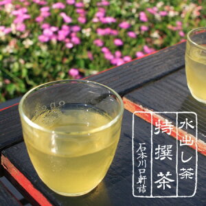【免疫力アップ】水出し緑茶 100g『水出し』で免疫力・抵抗力アップハリオ水出しボトル に最適【AR】