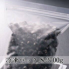 冷凍 砂抜き済み 宍道湖 Sサイズ 2.7kg（2.7kg×1） 送料別 漁師直送 島根県 シジミ 味噌汁 用 蜆 汁 お吸い物 ヤマトシジミ 贈答 贈り物 国産 天然 ギフト オルニチン 亜鉛 クラムチャウダー 二日酔い 高級 お鍋 貝 産直 グルメ 大竹屋