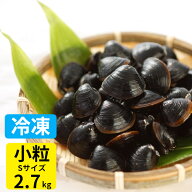 冷凍しじみ 送料無料 砂抜き済み 宍道湖産 お取り寄せ 冷凍 しじみ Sサイズ 2.7kg(900g×3) 漁師直送 島…