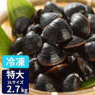 冷凍しじみ 特大 冷凍 しじみ お取り寄せ 送料無料 砂抜き済み 宍道湖産 2Lサイズ 2.7kg(900g×3) 漁師直…