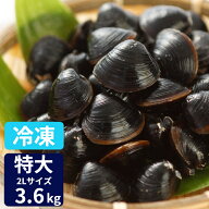 特大 しじみ 冷凍 冷凍しじみ 送料無料 砂抜き済み 宍道湖産 2Lサイズ 3.6kg(900g×4) お取り寄せ 漁師直…