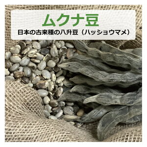 Ni i{̌×̔j 100g inbVE}j y䂤pPbgΉz yNT|[g_z_Ew엿E Д_ Y Ni Mucuna  ނȓ h[