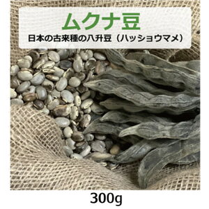 Ni i{̌×̔j 300g inbVE}j y䂤pPbgz yNT|[g_z_Ew엿E Д_ Y Ni Mucuna  ނȓ 