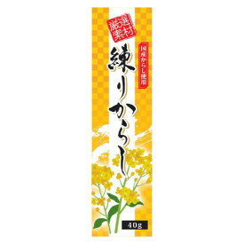 練りからし（チューブ）（木）（40g）【東京フード】