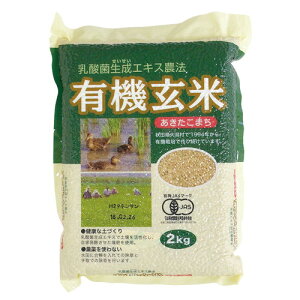 _ېGLX_@ L@āi܂j i2kgj yr[AhGXER[|[Vz