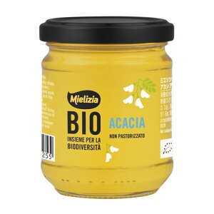 ~GcBA AJVA̗L@n`~c 250g yfՁz