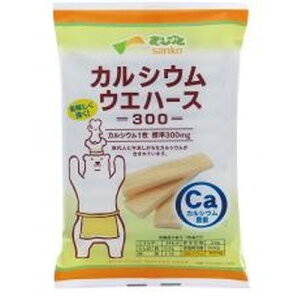 JVEEGn[X300 i12j yTR[z