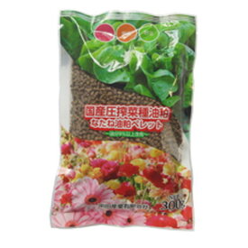 楽天市場 菜種油粕の通販