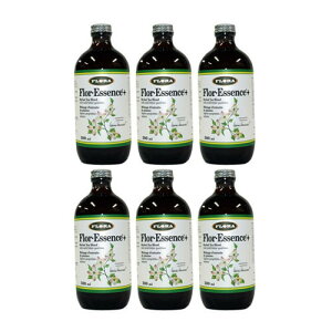 t[GbZXvXLbh^Cv500ml×6{Zbg iꕔnj