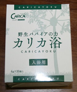 쐶ppCA̗̓JJipji4g×10j